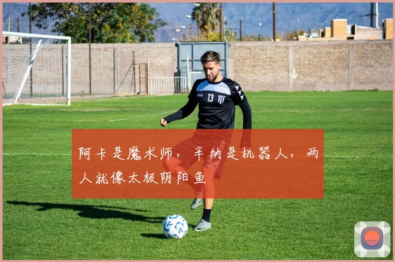 阿卡是魔术师，辛纳是机器人，两人就像太极阴阳鱼