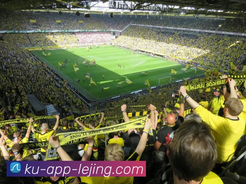 乐竞体育官网APP 体育赛事宣传图